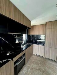 Irwell Hill Residences (D9), Apartment #502462601
